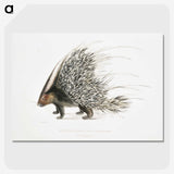 1-11_Indian-Zoology_picture-crop