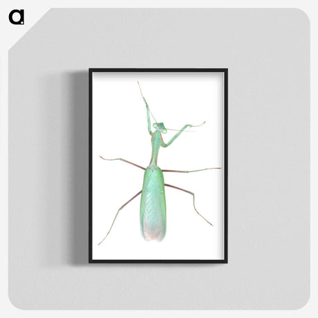 1-11_Insects-Unlocked-Project_blk-crop