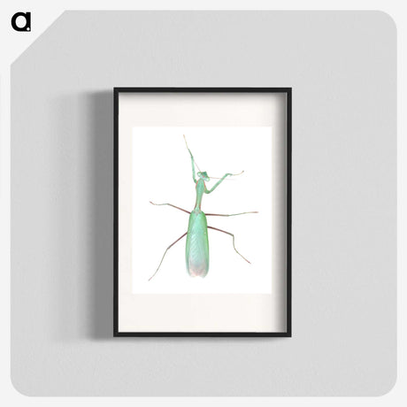 1-11_Insects-Unlocked-Project_blk