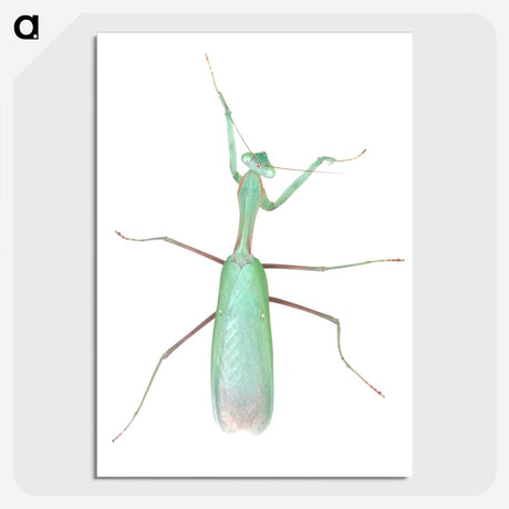 1-11_Insects-Unlocked-Project_picture-crop