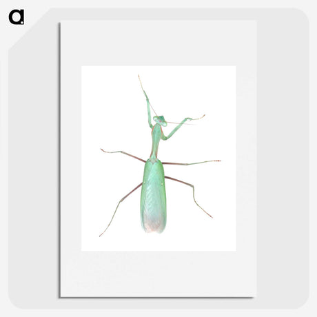 1-11_Insects-Unlocked-Project_picture