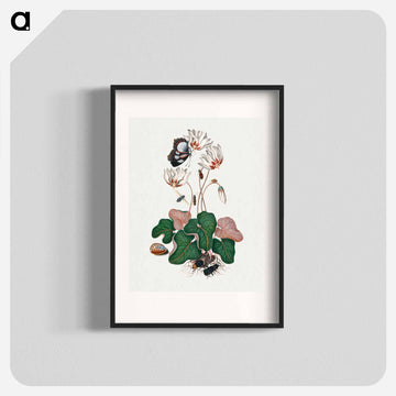 Anna Blackburne's Natural History Cabinet
 - ジェームズ ボルトン Poster.