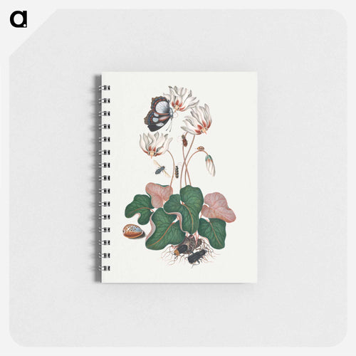 Anna Blackburne's Natural History Cabinet
 - ジェームズ ボルトン Memo.