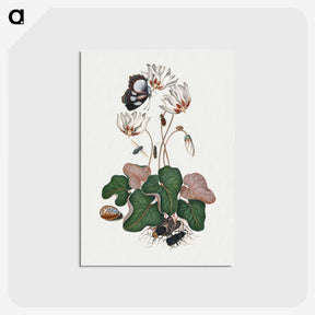1-11_James-Bolton_postcard