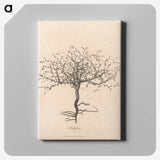 1-11_James-Heath_canvas