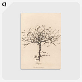 1-11_James-Heath_postcard