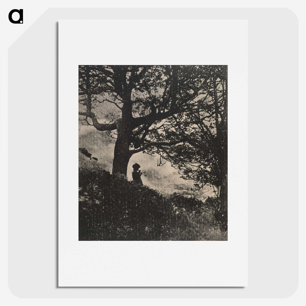1-11_James-Walter-Chapman-Taylor_picture