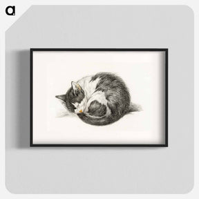 アートポスター-Rolled up lying sleeping cat - ジャン ベルナール Poster.