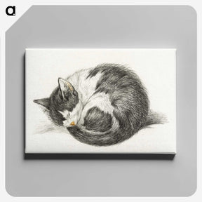 1-11_Jean-Bernard_canvas