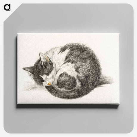 アートパネル-Rolled up lying sleeping cat - ジャン ベルナール Canvas.