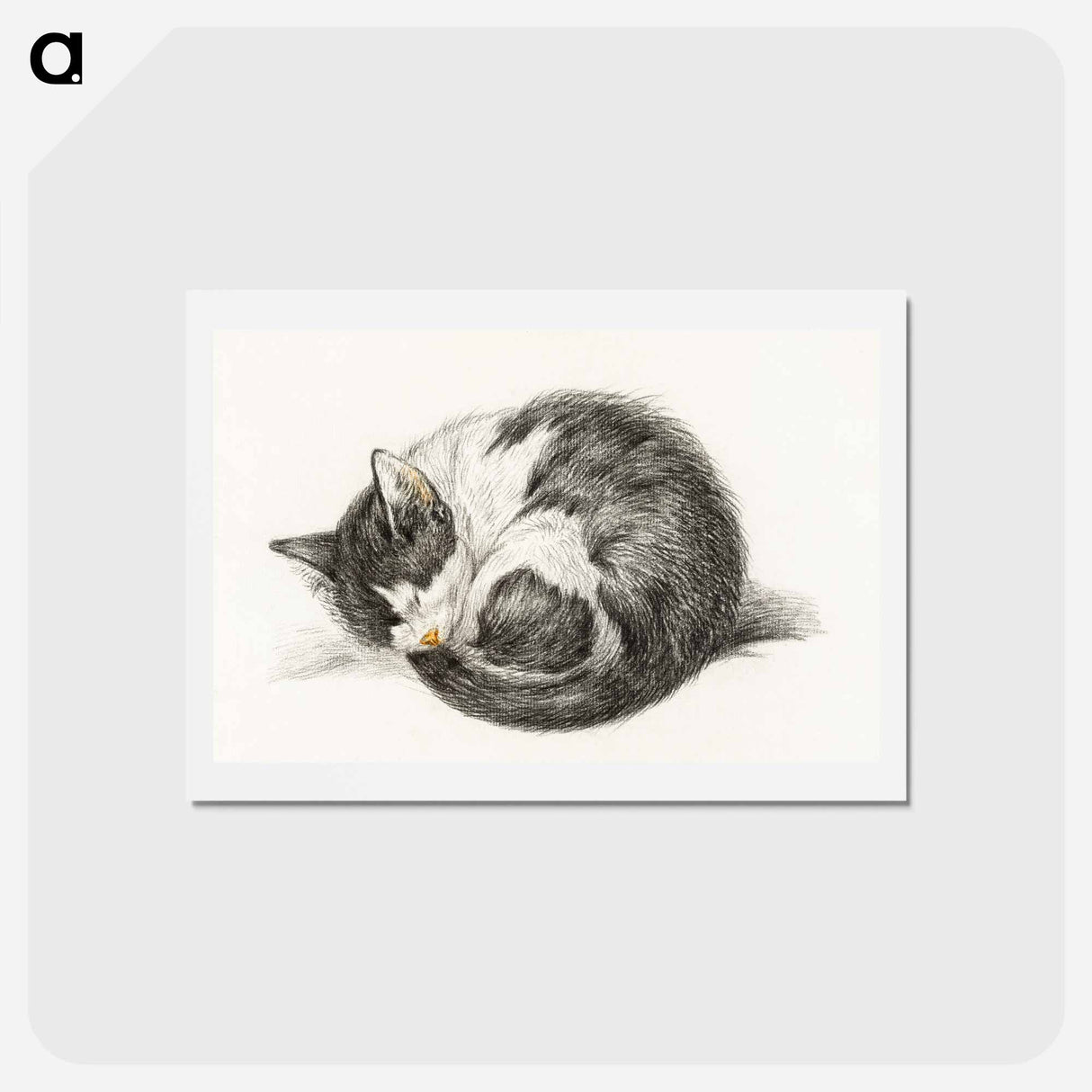アートポストカード-Rolled up lying sleeping cat - ジャン ベルナール Postcard.