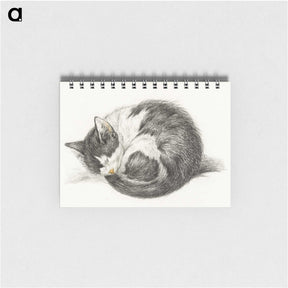 1-11_Jean-Bernard_memo