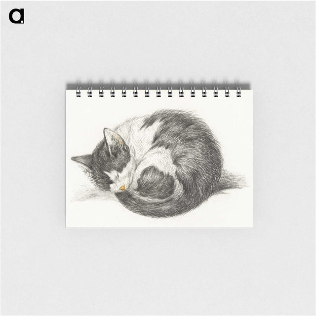 1-11_Jean-Bernard_memo