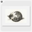 1-11_Jean-Bernard_picture