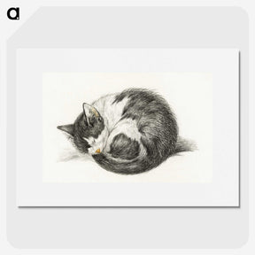 1-11_Jean-Bernard_picture