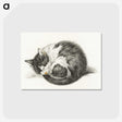 1-11_Jean-Bernard_postcard