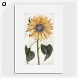 1-11_Johan-Teyler_picture
