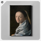 1-11_Johannes-Vermeer_canvas