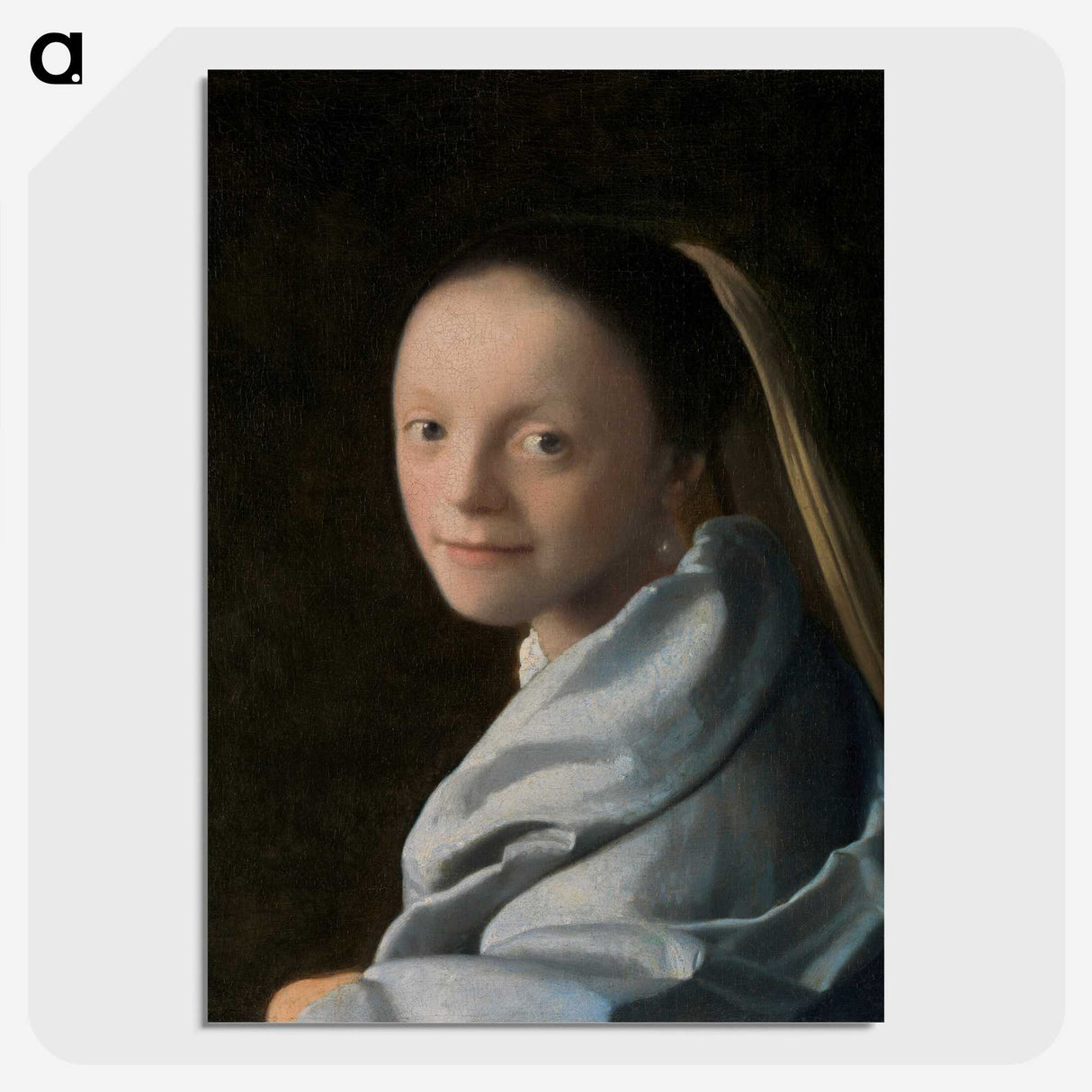 1-11_Johannes-Vermeer_picture-crop
