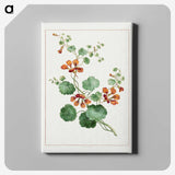1-11_John-Edwards_canvas