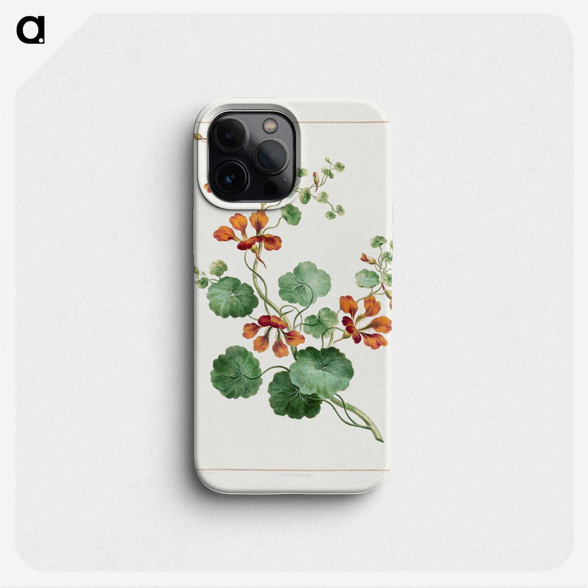 1-11_John-Edwards_phone