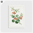 1-11_John-Edwards_postcard