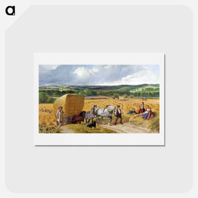 アートポストカード-The Harvest
 - ジョン フレデリック ヘリング Postcard.