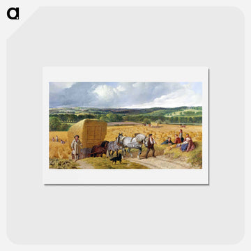 The Harvest
 - ジョン フレデリック ヘリング Postcard.