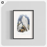 1-11_John-Gould_blk