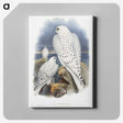 1-11_John-Gould_canvas