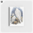 1-11_John-Gould_memo