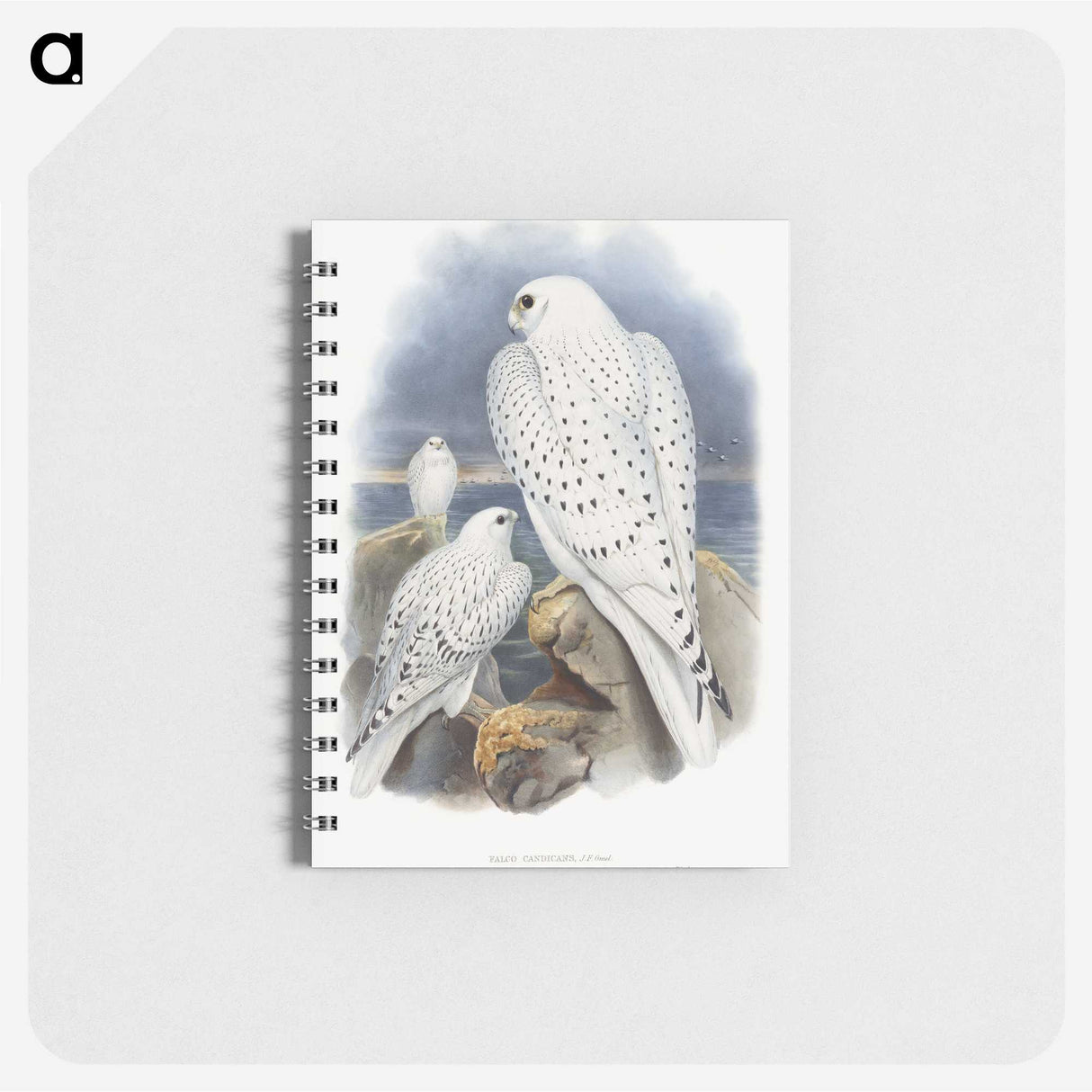 1-11_John-Gould_memo