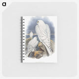 1-11_John-Gould_memo