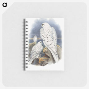 1-11_John-Gould_memo