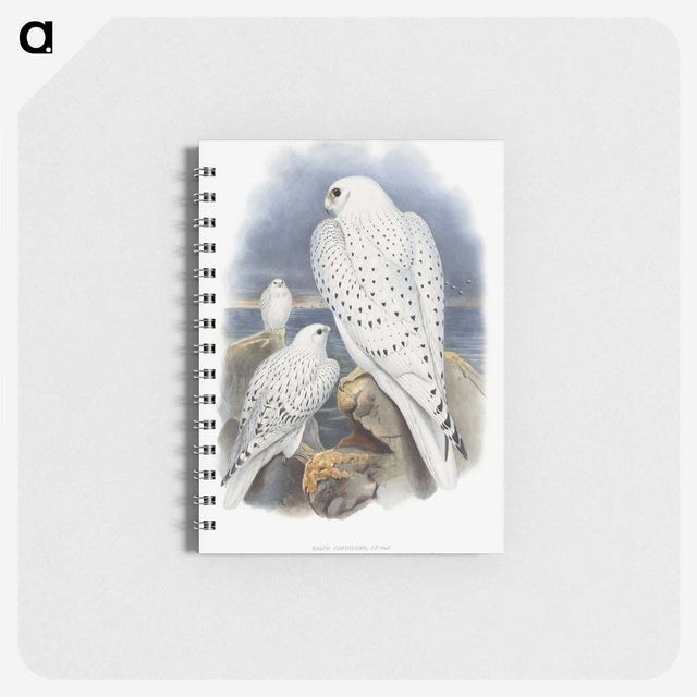1-11_John-Gould_memo