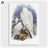 1-11_John-Gould_picture-crop