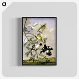 1-11_John-James-Audubon_blk-crop