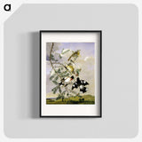 1-11_John-James-Audubon_blk