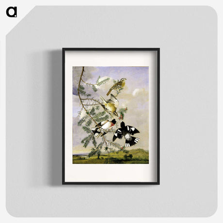 1-11_John-James-Audubon_blk