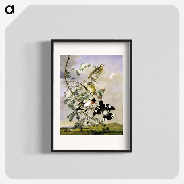 1-11_John-James-Audubon_blk