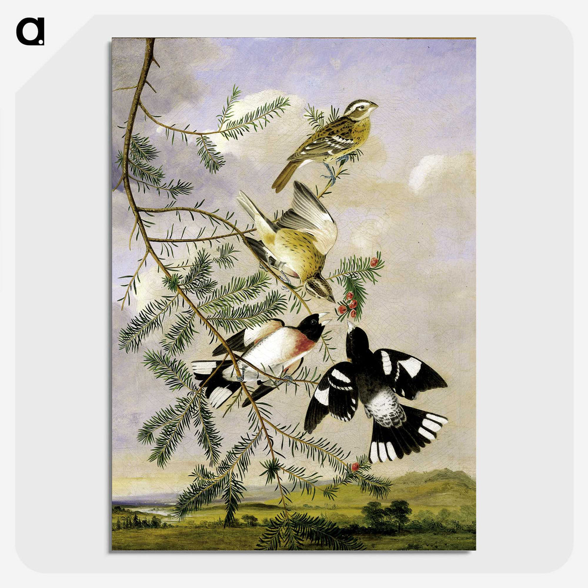 1-11_John-James-Audubon_picture-crop