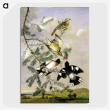 1-11_John-James-Audubon_picture-crop