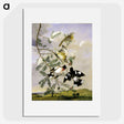 1-11_John-James-Audubon_picture
