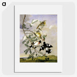 1-11_John-James-Audubon_picture