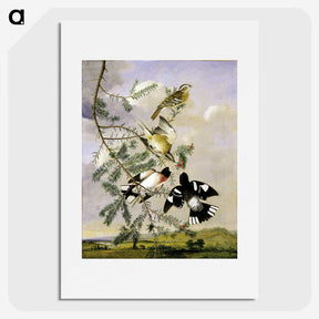 1-11_John-James-Audubon_picture