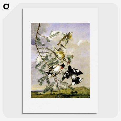 1-11_John-James-Audubon_picture