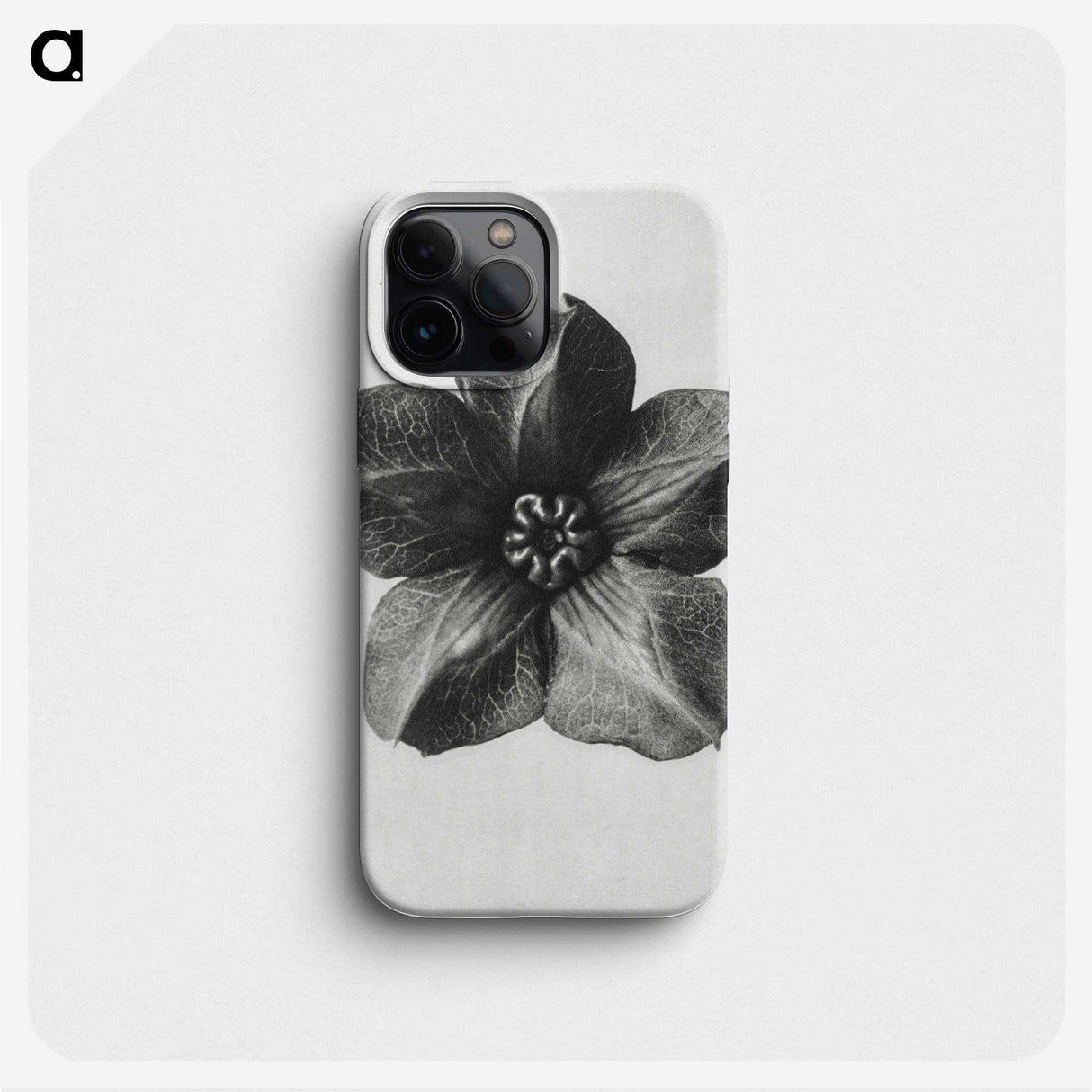 1-11_Karl-Blossfeldt_phone