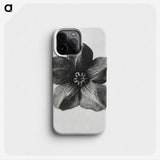1-11_Karl-Blossfeldt_phone