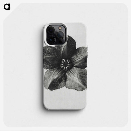 1-11_Karl-Blossfeldt_phone