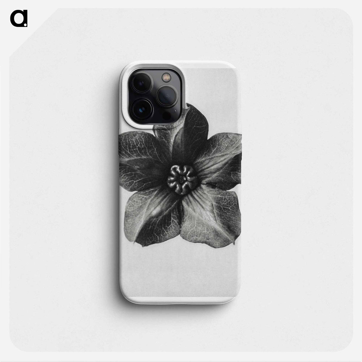 Cobea scandens (Mexican Ivy) calyx enlarged 4 times - カール ブロスフェルト Phone Case.